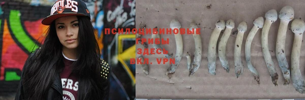 каннабис Алзамай