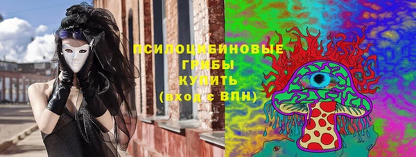 дмт Алексин