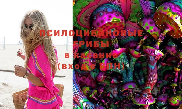 дмт Алексин