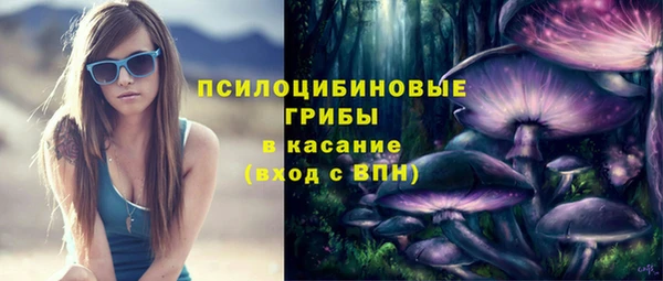 дмт Алексин