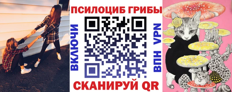 Псилоцибиновые грибы GOLDEN TEACHER  цены наркотик  ссылка на мегу ТОР  Орлов 